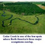 Cedar Creek Natural History Area