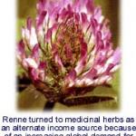 Medicinal Herbs on the Urban Fringe