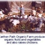 Earthen Path Organic Farm