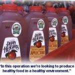 Pepin Heights Orchard