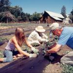 Bob Kauer’s Shared Harvest Community Garden