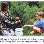 Shary’s Berries