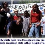 Youth Farm and Market Project